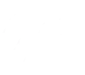 imgi_42_41-1