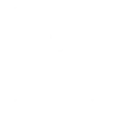 imgi_45_37