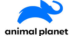 apl.png